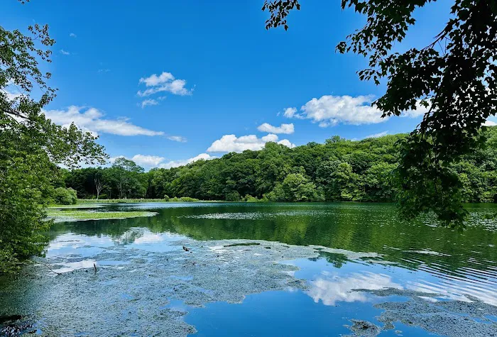 Rockefeller State Park Picture 3