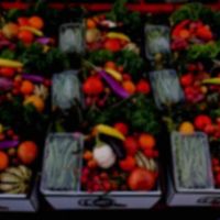 Our New Way Garden ico