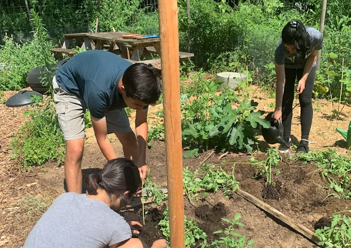 Our New Way Garden Picture 7