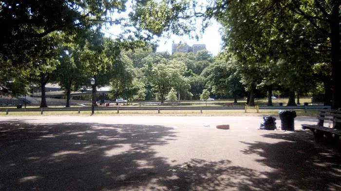 Parco Harlem Picture 6