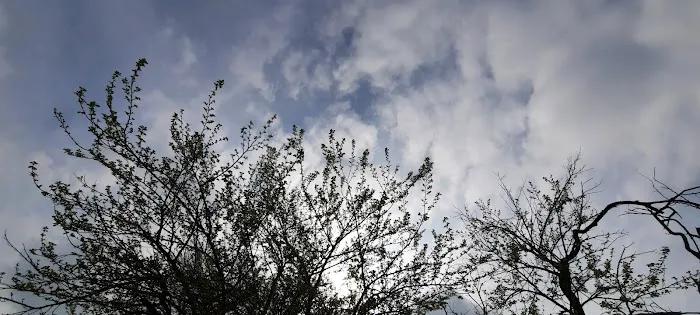 Parco Harlem Picture 9