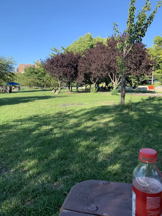 Parco Harlem Picture 2