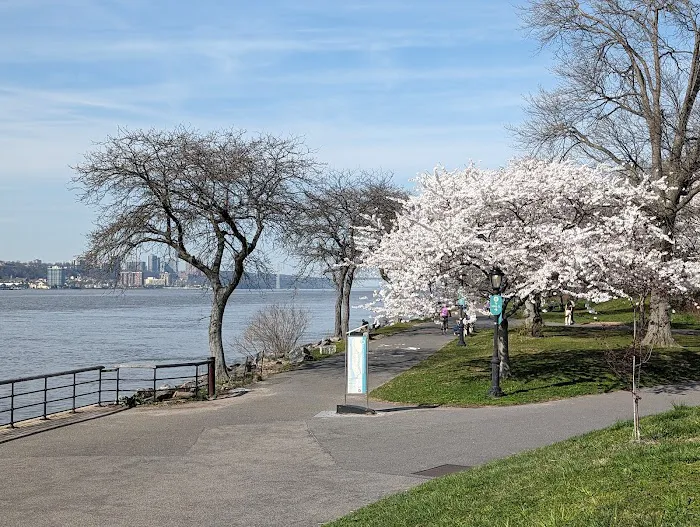 Parco Harlem Picture 1