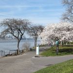 Parco Harlem