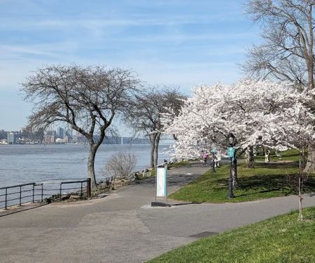 Parco Harlem