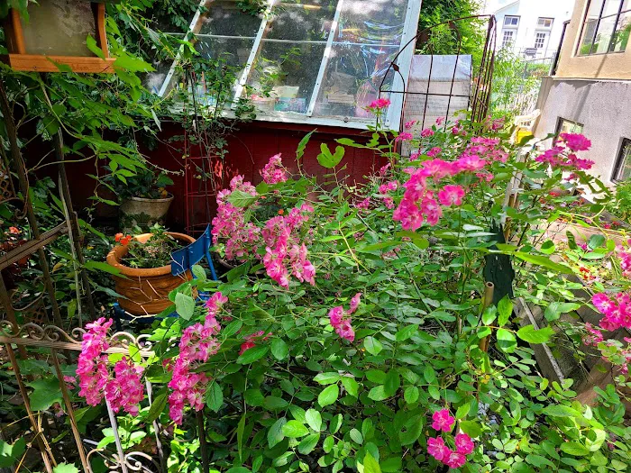 Joseph Daniel Wilson Memorial Garden Picture 4