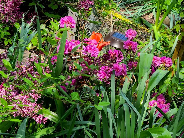 Joseph Daniel Wilson Memorial Garden Picture 1