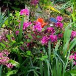 Joseph Daniel Wilson Memorial Garden