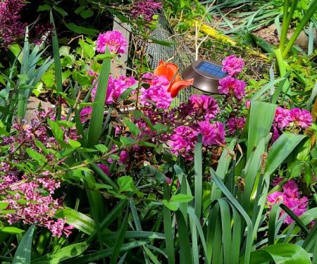 Joseph Daniel Wilson Memorial Garden