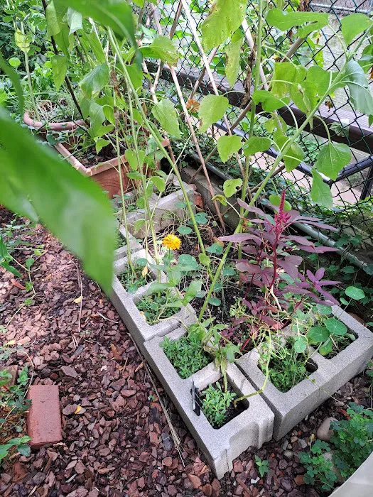 Joseph Daniel Wilson Memorial Garden Picture 9