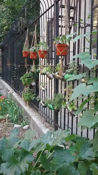 Electric Ladybug Garden Picture 9
