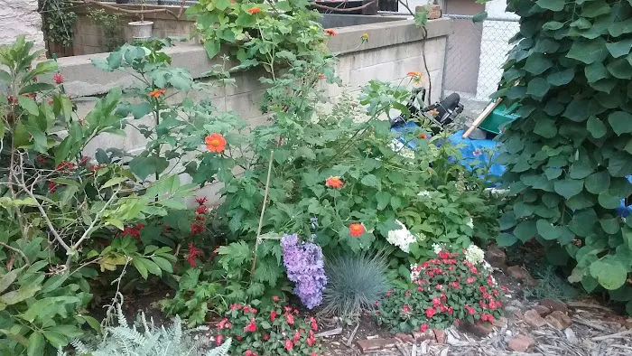 Electric Ladybug Garden Picture 8
