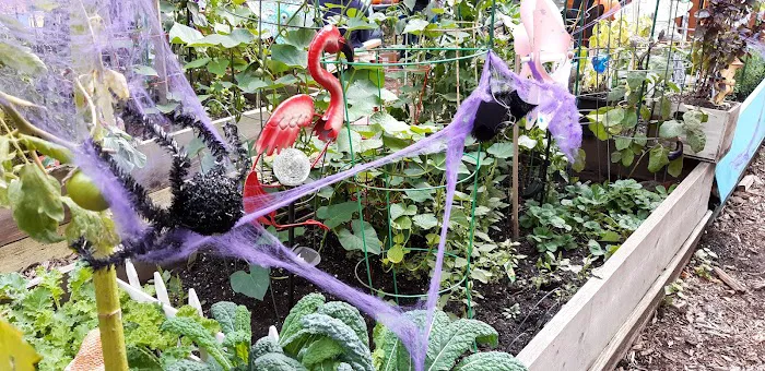 Electric Ladybug Garden Picture 7