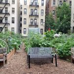 Electric Ladybug Garden