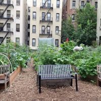 Electric Ladybug Garden ico