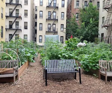 Electric Ladybug Garden