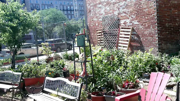 Carrie McCracken Truce Garden Picture 6