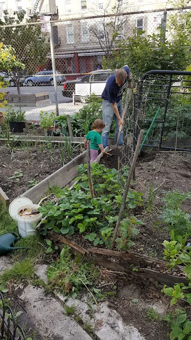 Carrie McCracken Truce Garden Picture 4