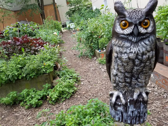 Garden of Love Picture 2