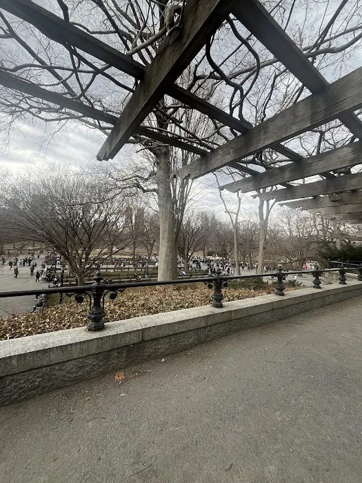 Wisteria Pergola At The Mall Picture 4