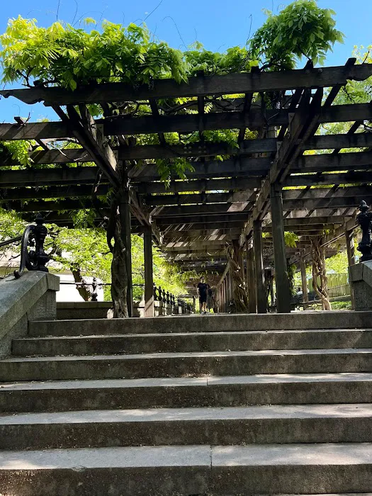 Wisteria Pergola At The Mall Picture 5