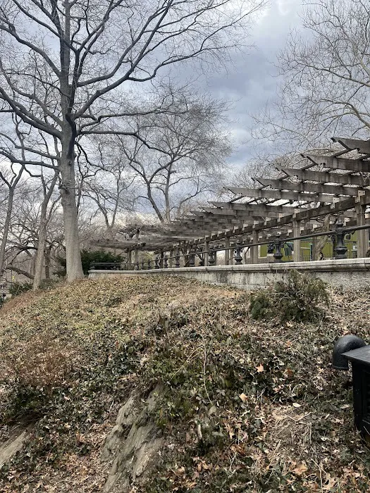 Wisteria Pergola At The Mall Picture 7