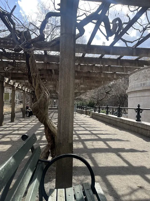 Wisteria Pergola At The Mall Picture 8