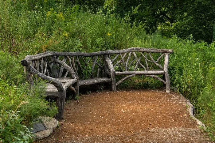 A Native Meadow Picture 8