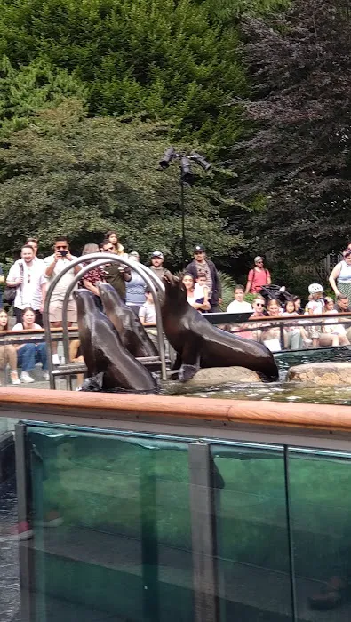 Tisch Children's Zoo Picture 7