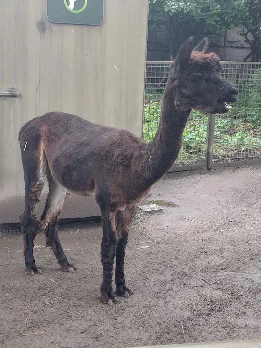 Tisch Children's Zoo Picture 8