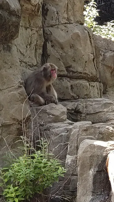 Tisch Children's Zoo Picture 4