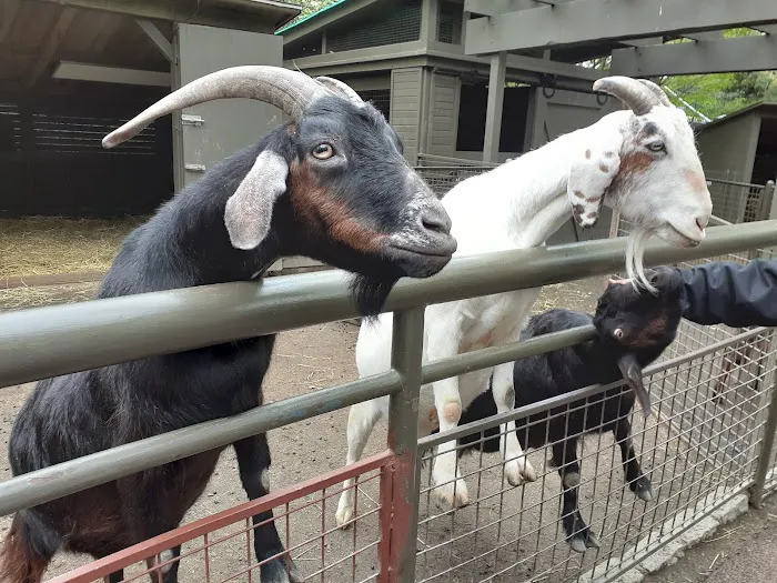 Tisch Children's Zoo Picture 9