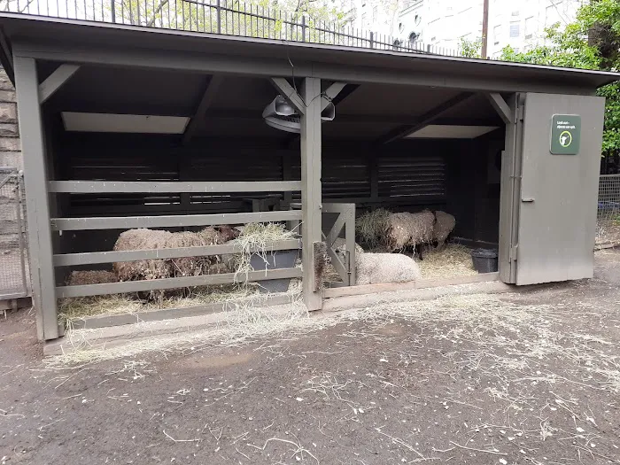 Tisch Children's Zoo Picture 3