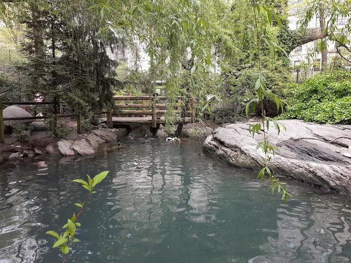 Tisch Children's Zoo Picture 10