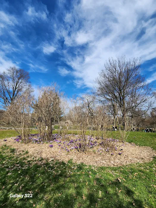 Nell Singer Lilac Walk Picture 8