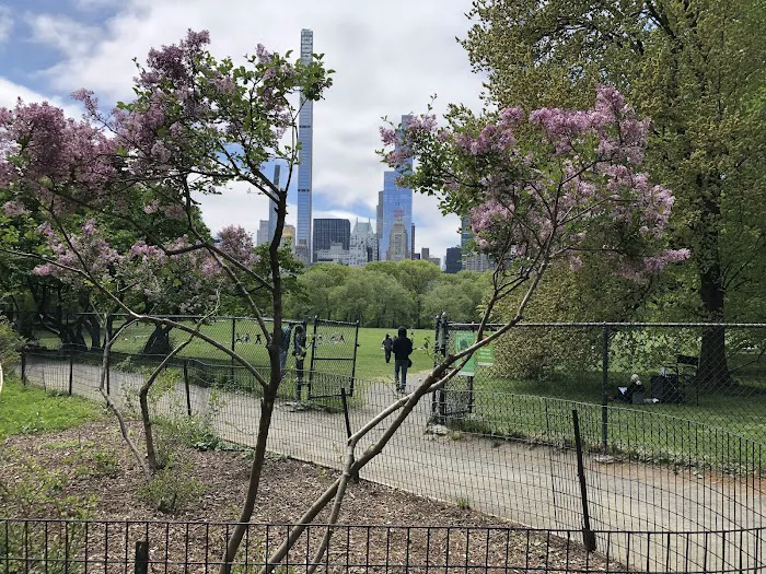Nell Singer Lilac Walk Picture 3
