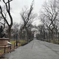 Olmsted Flower Bed ico
