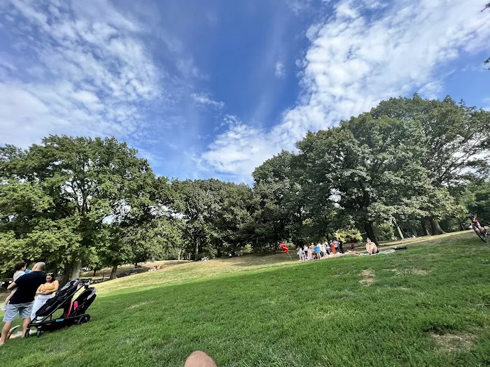 Frisbee Hill Picture 6