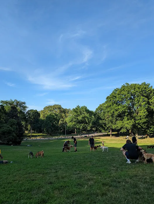 Frisbee Hill Picture 9
