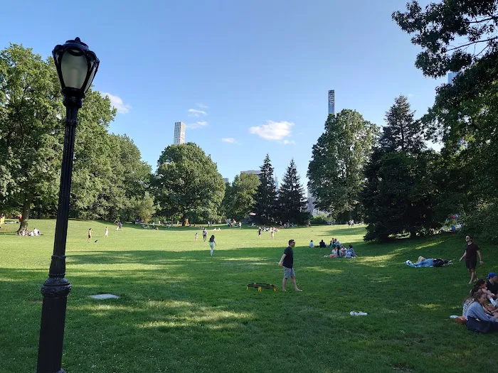 Frisbee Hill Picture 3