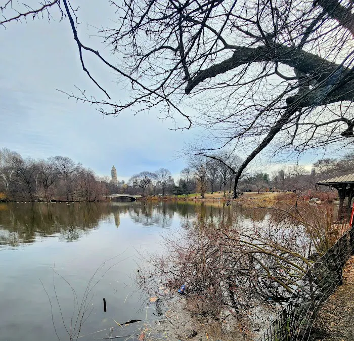 The Lake Picture 9