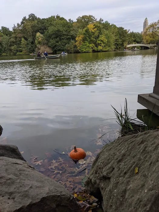 The Lake Picture 1
