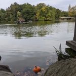The Lake