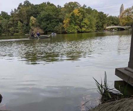 The Lake