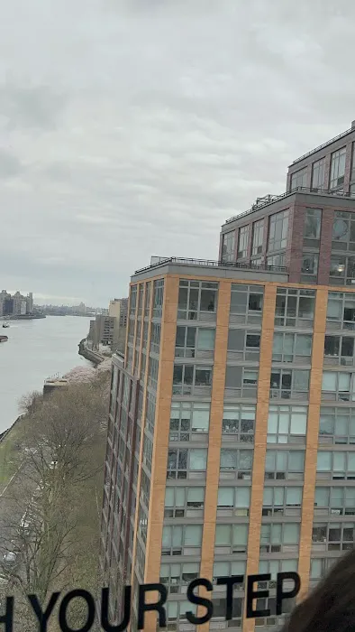 Roosevelt island tram Picture 8