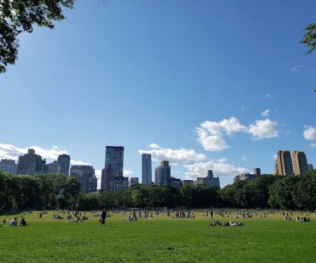 Sheep Meadow