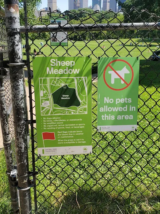 Sheep Meadow Picture 5