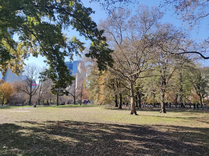 Sheep Meadow Picture 3