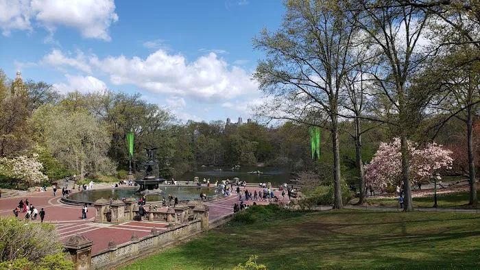 Sheep Meadow Picture 7
