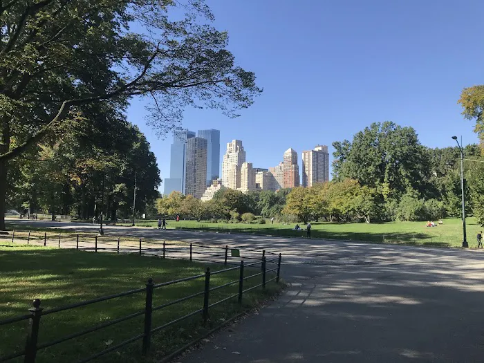 Sheep Meadow Picture 4
